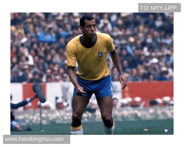 足球最佳后卫评选揭晓谁将成为历史上最伟大的防守者